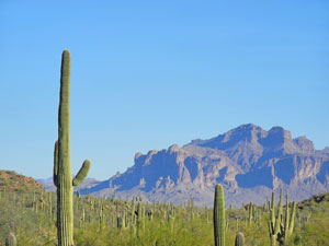 Mesa Area Billboard Rates