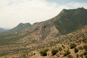 Sierra Vista Area Billboard Rates