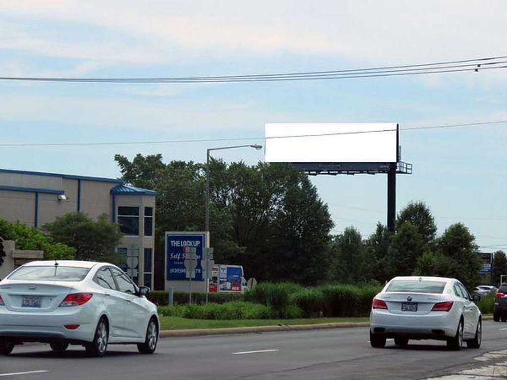 Photo of a billboard in Lisle