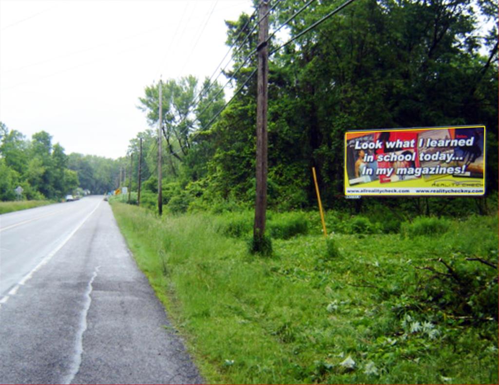 Photo of a billboard in Van Buren Point