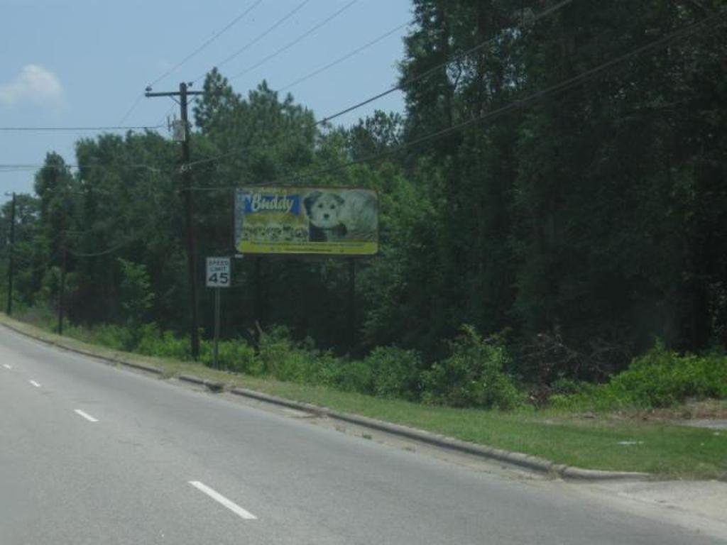 Photo of a billboard in Hamlet