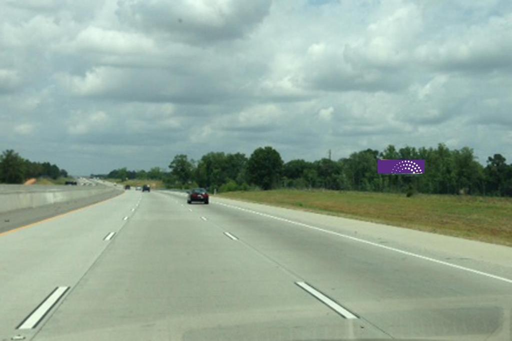 Photo of a billboard in Alapaha