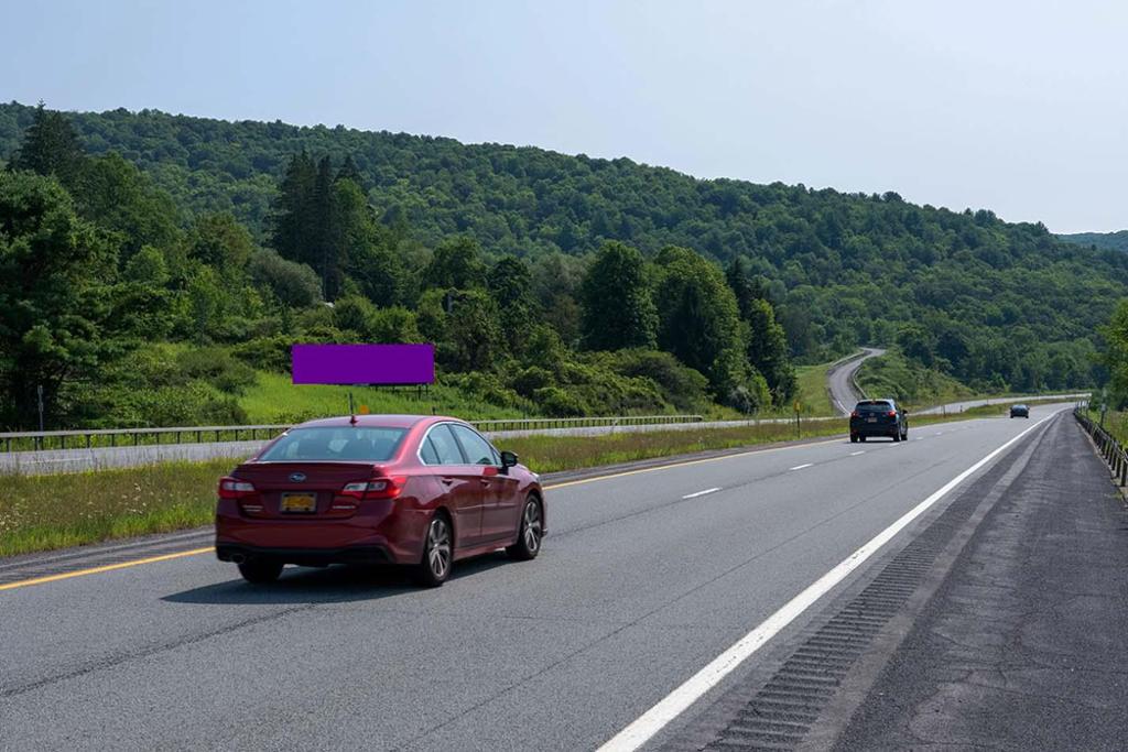 Photo of a billboard in Trout Creek