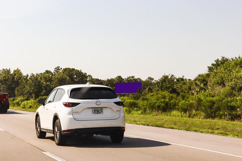 Photo of a billboard in Kenansville