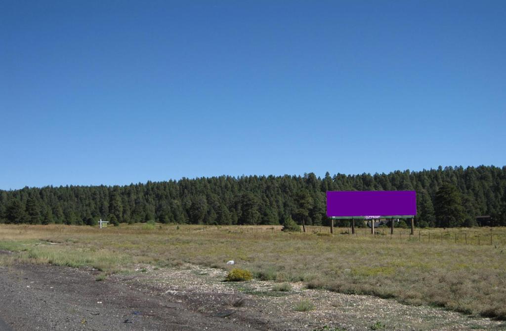 Photo of an outdoor ad in Flagstaff