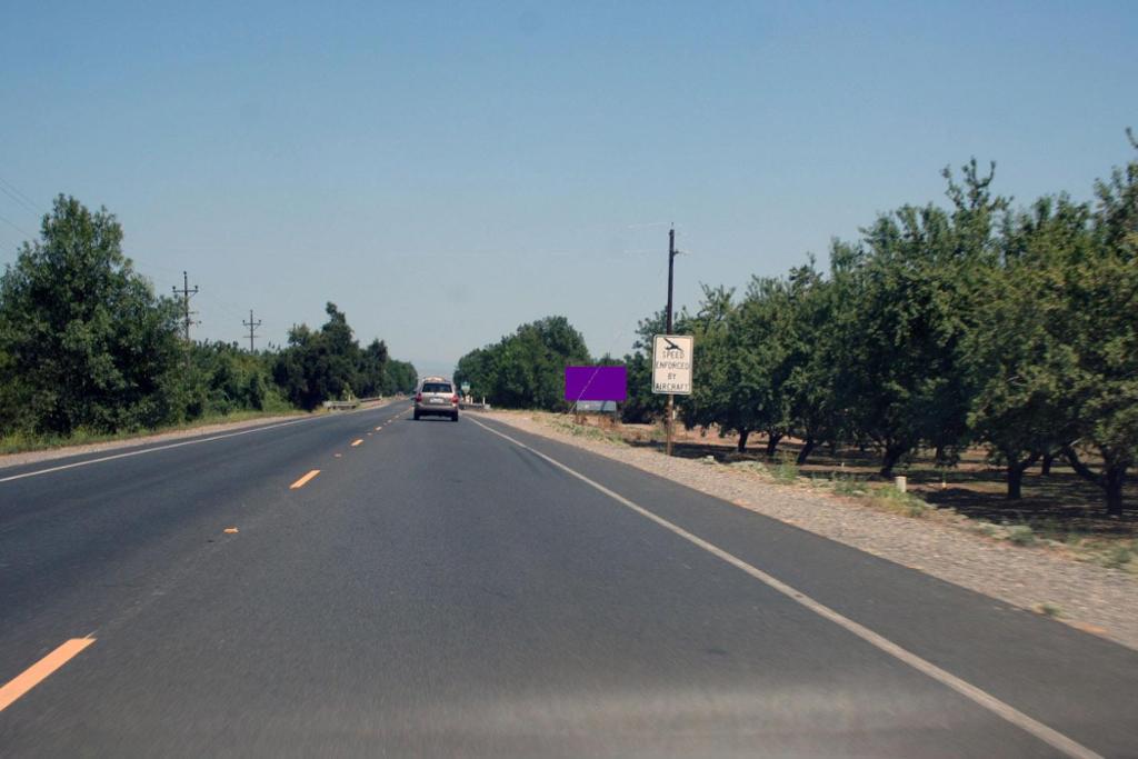 Photo of a billboard in Hamilton City